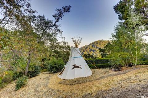 31 Upper Rd, Ross, CA 94957 photo 32