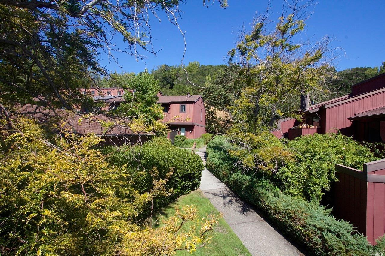 16 Deuce Ct, Fairfax, CA 94930 photo 1