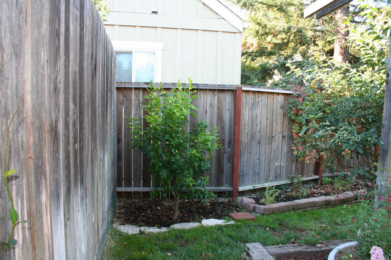 879 2nd St W, Sonoma, CA 95476 photo 22