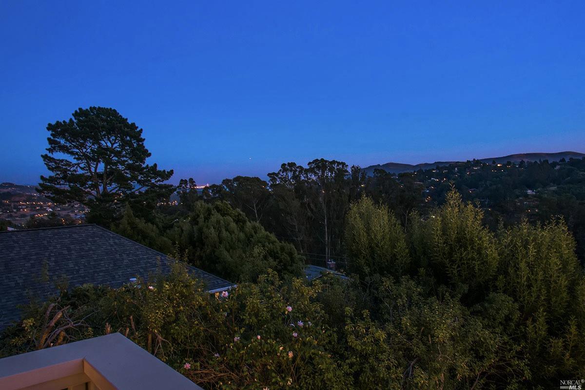 8 Pimlott Ln, Mill Valley, CA 94941 photo 25
