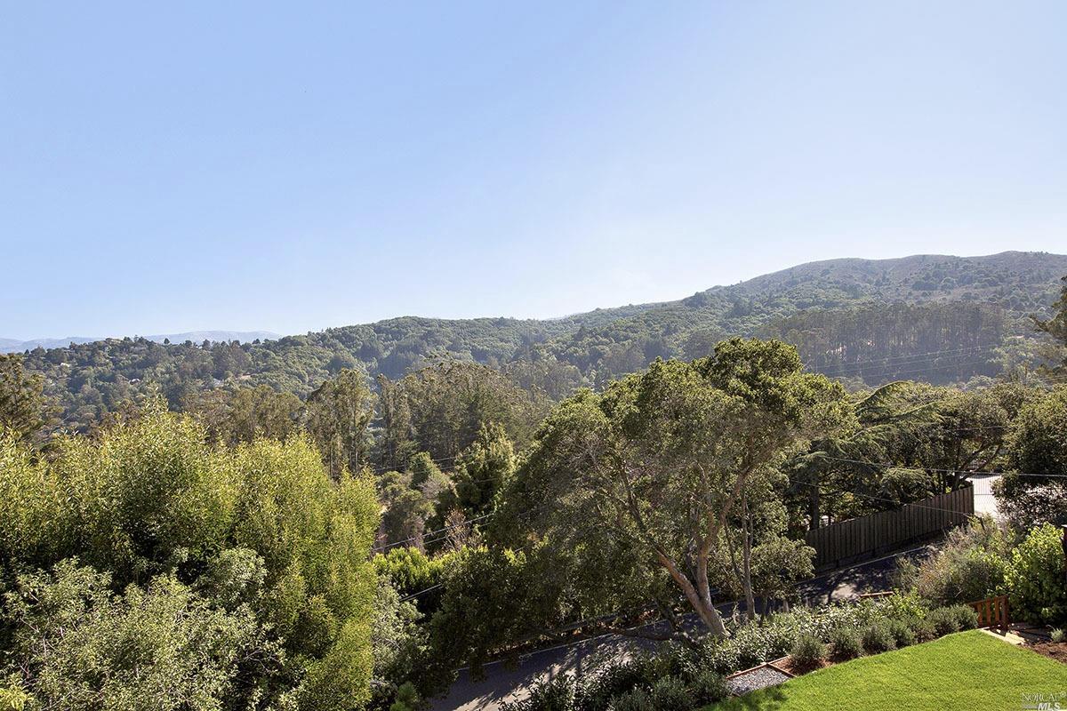 8 Pimlott Ln, Mill Valley, CA 94941 photo 20