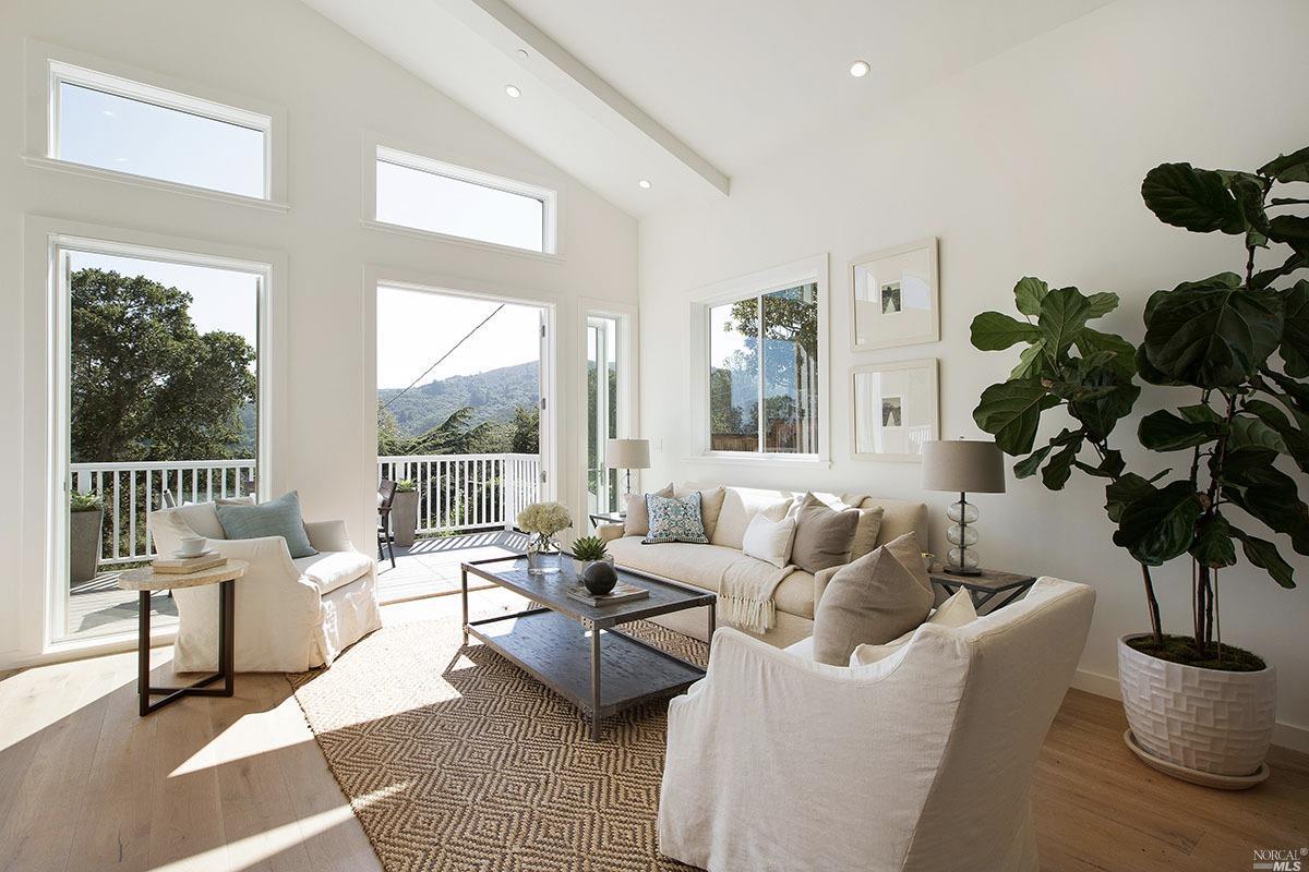 8 Pimlott Ln, Mill Valley, CA 94941 photo 3