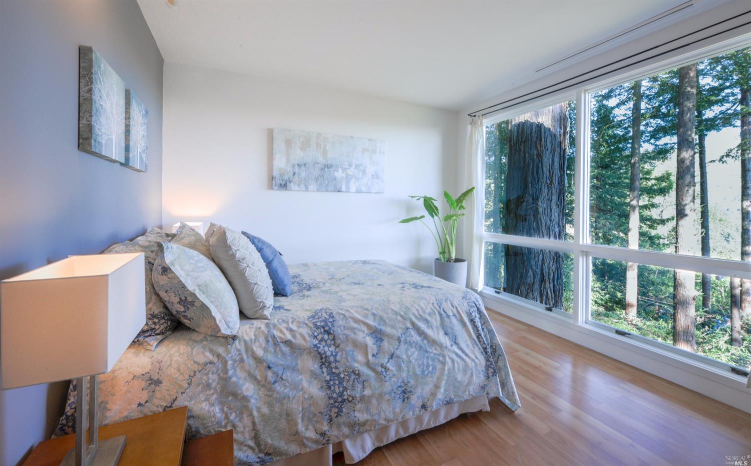 61 Monte Cimas Ave, Mill Valley, CA 94941 photo 8