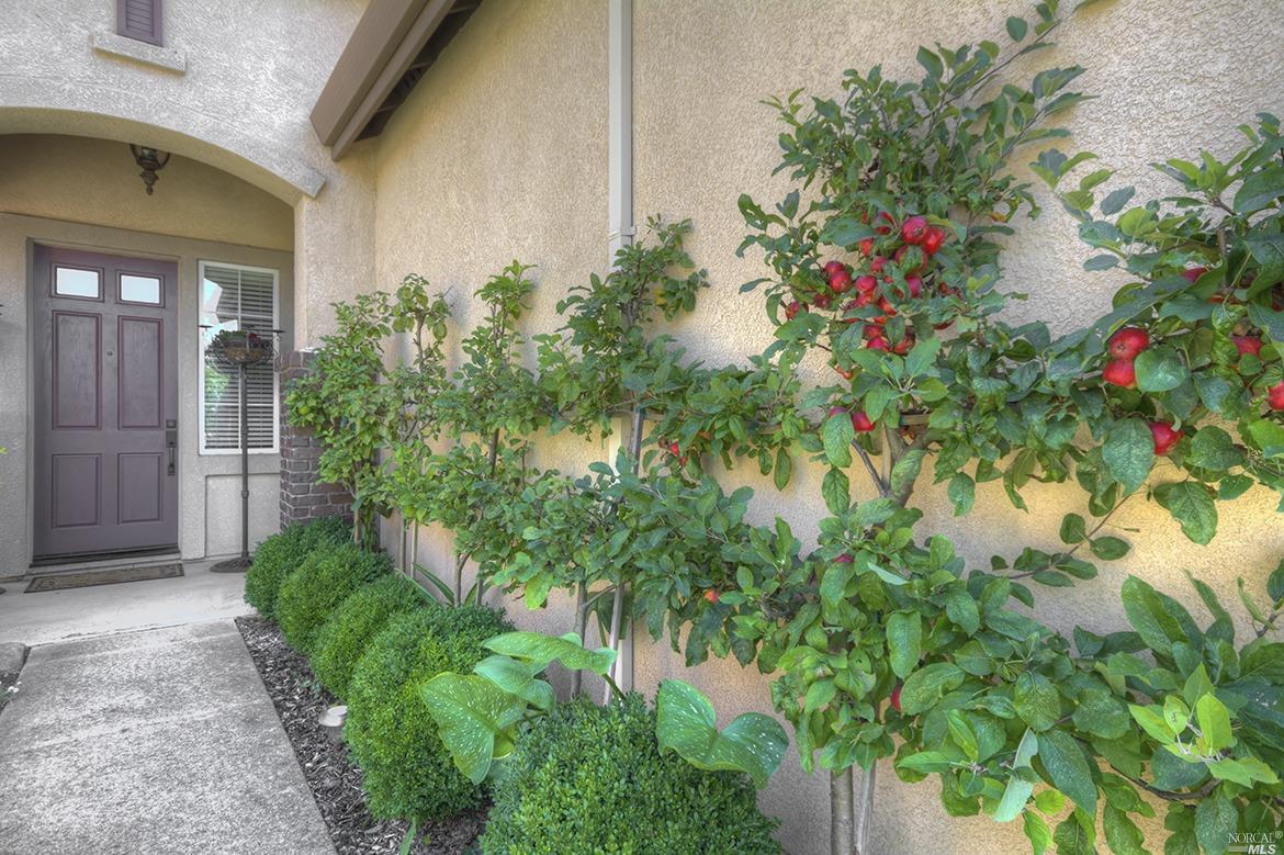 2612 Marshfield Rd, Vallejo, CA 94591 photo 38