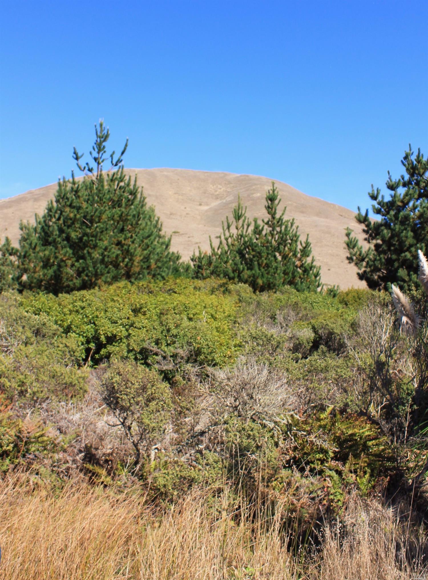 2156 Breakers Ln, Bodega Bay, CA 94923 photo 19