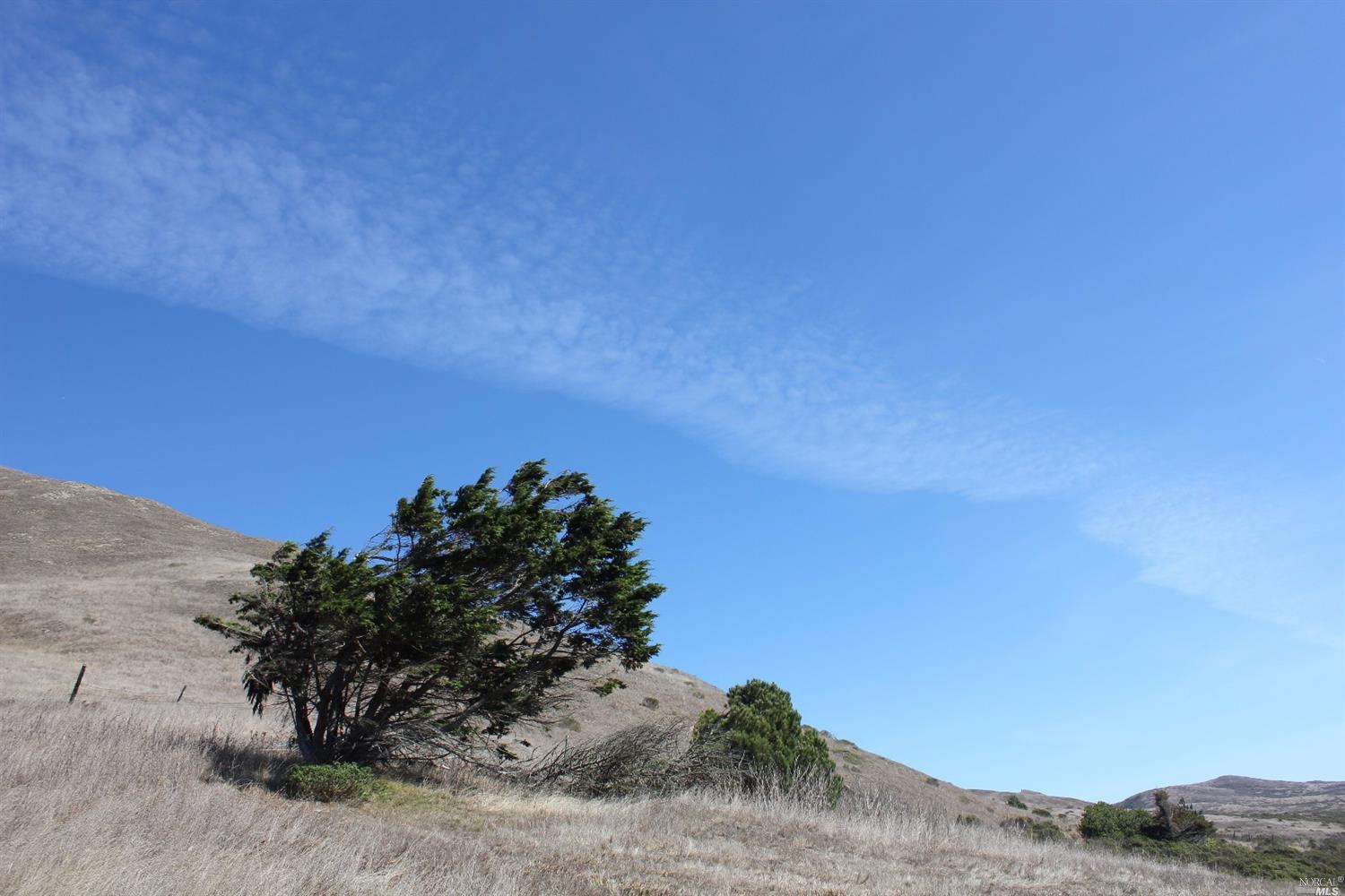 2156 Breakers Ln, Bodega Bay, CA 94923 photo 12