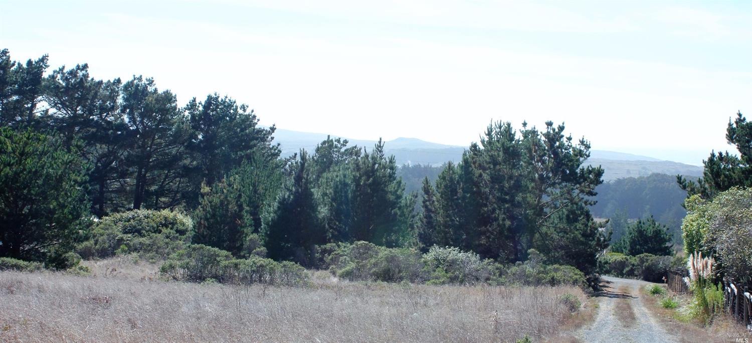 2156 Breakers Ln, Bodega Bay, CA 94923 photo 20