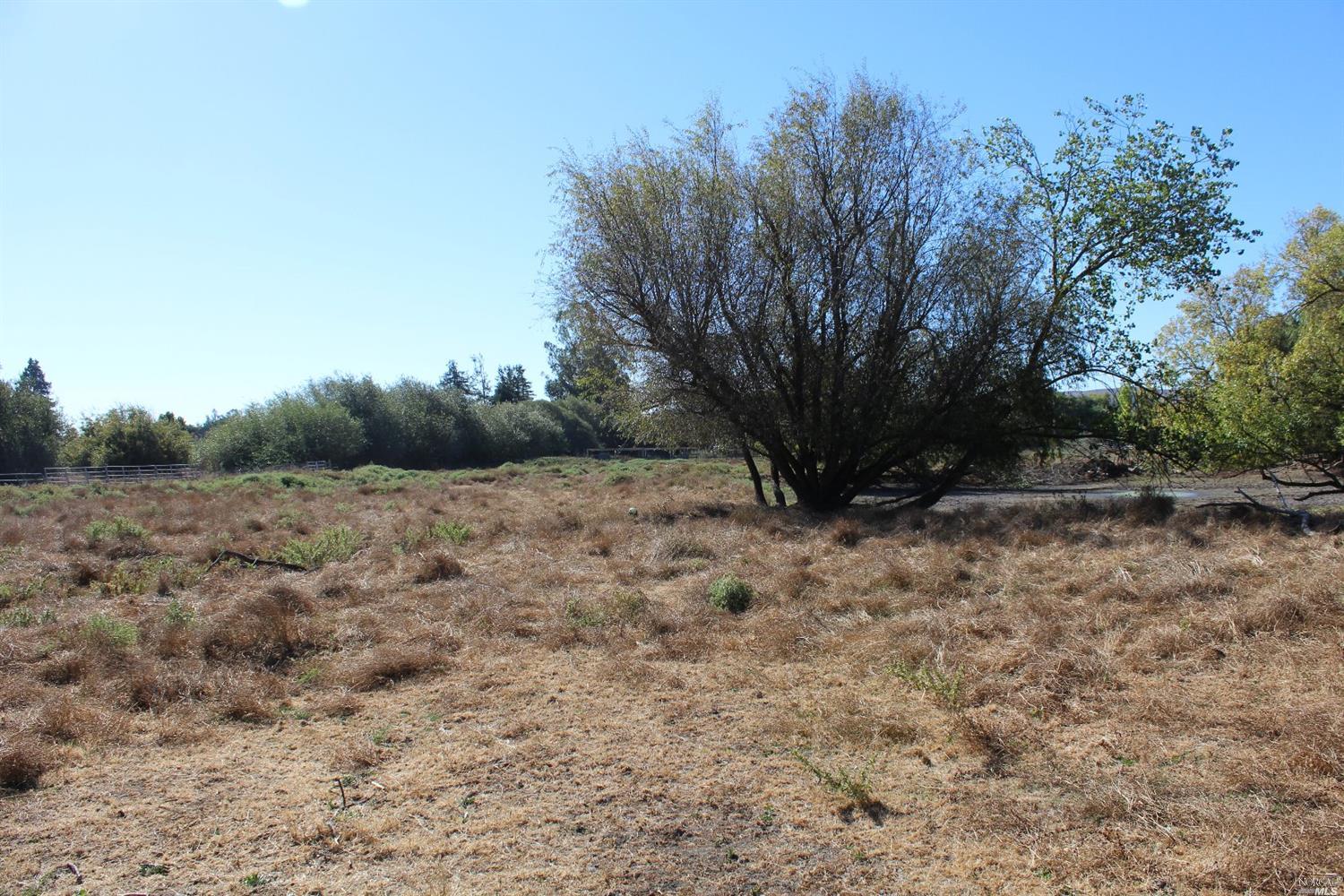 3976 Skillman Ln, Petaluma, CA 94952 photo 18