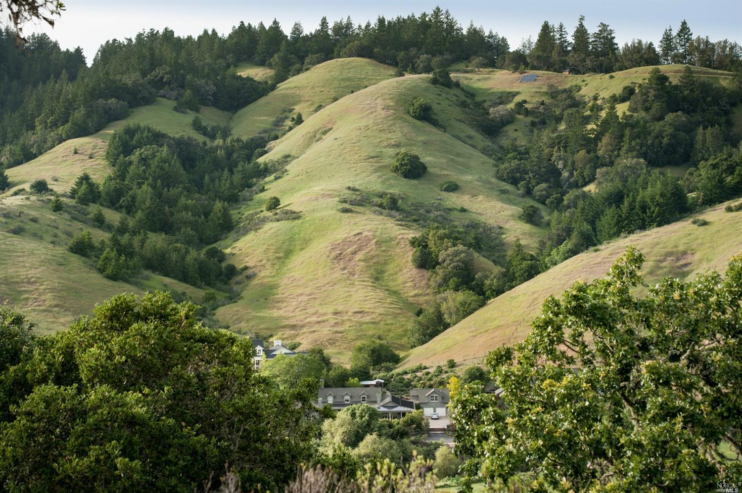 48 W Nicasio Rd, San Geronimo, CA 94963 photo 24