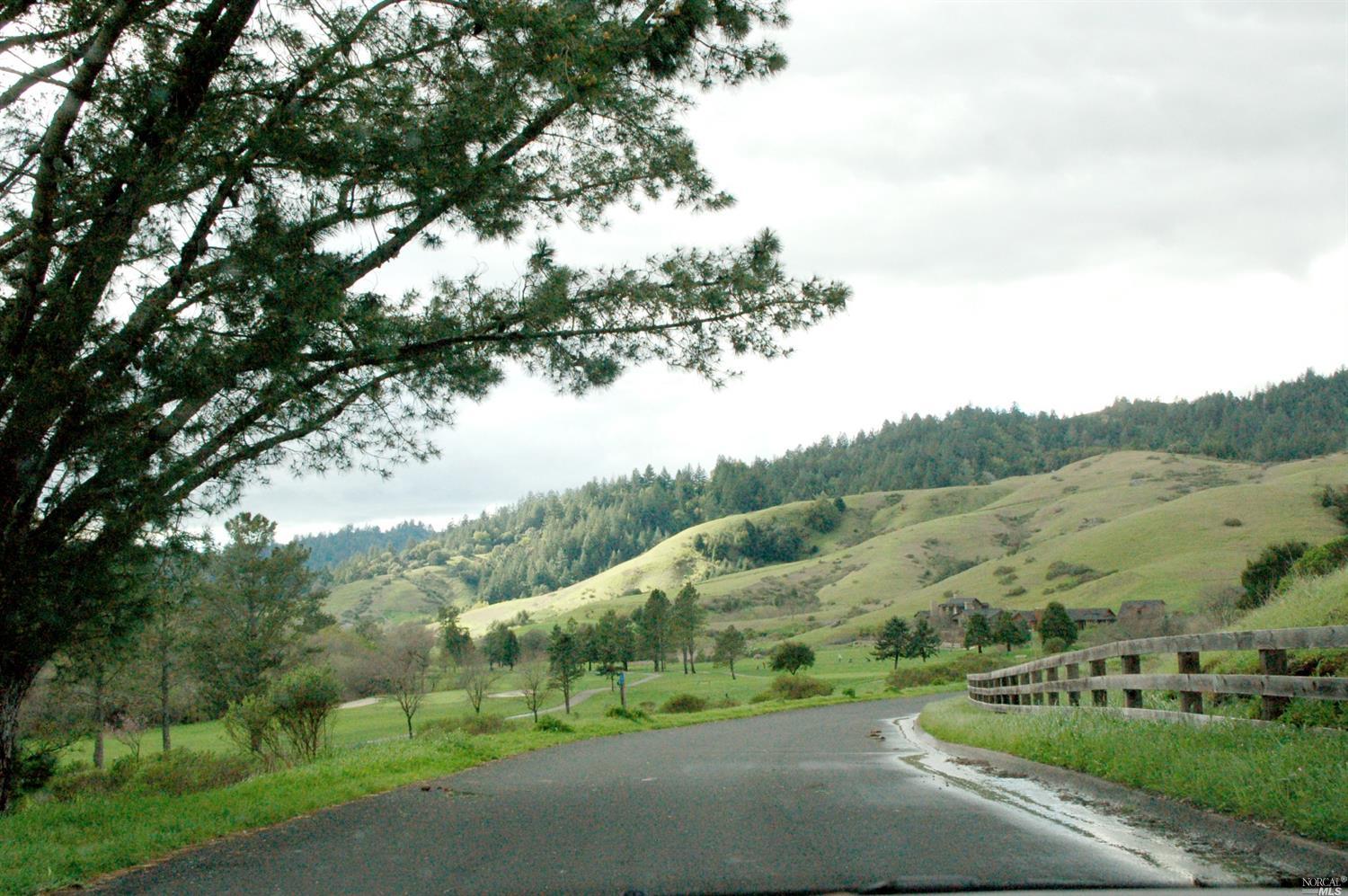 48 W Nicasio Rd, San Geronimo, CA 94963 photo 23