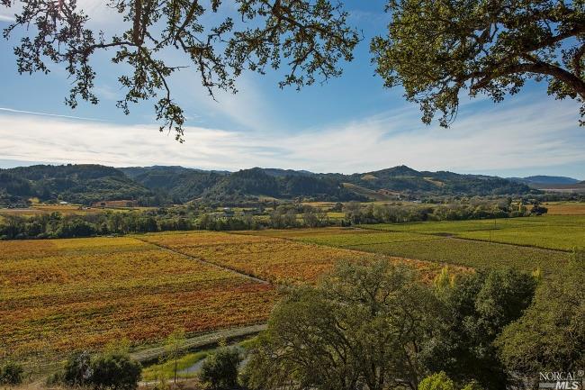 7470 Dry Creek Rd, Geyserville, CA 95441 photo 6