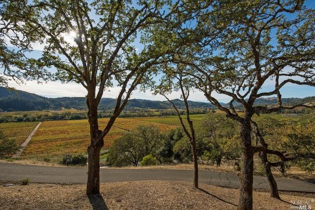 7470 Dry Creek Rd, Geyserville, CA 95441 photo 5