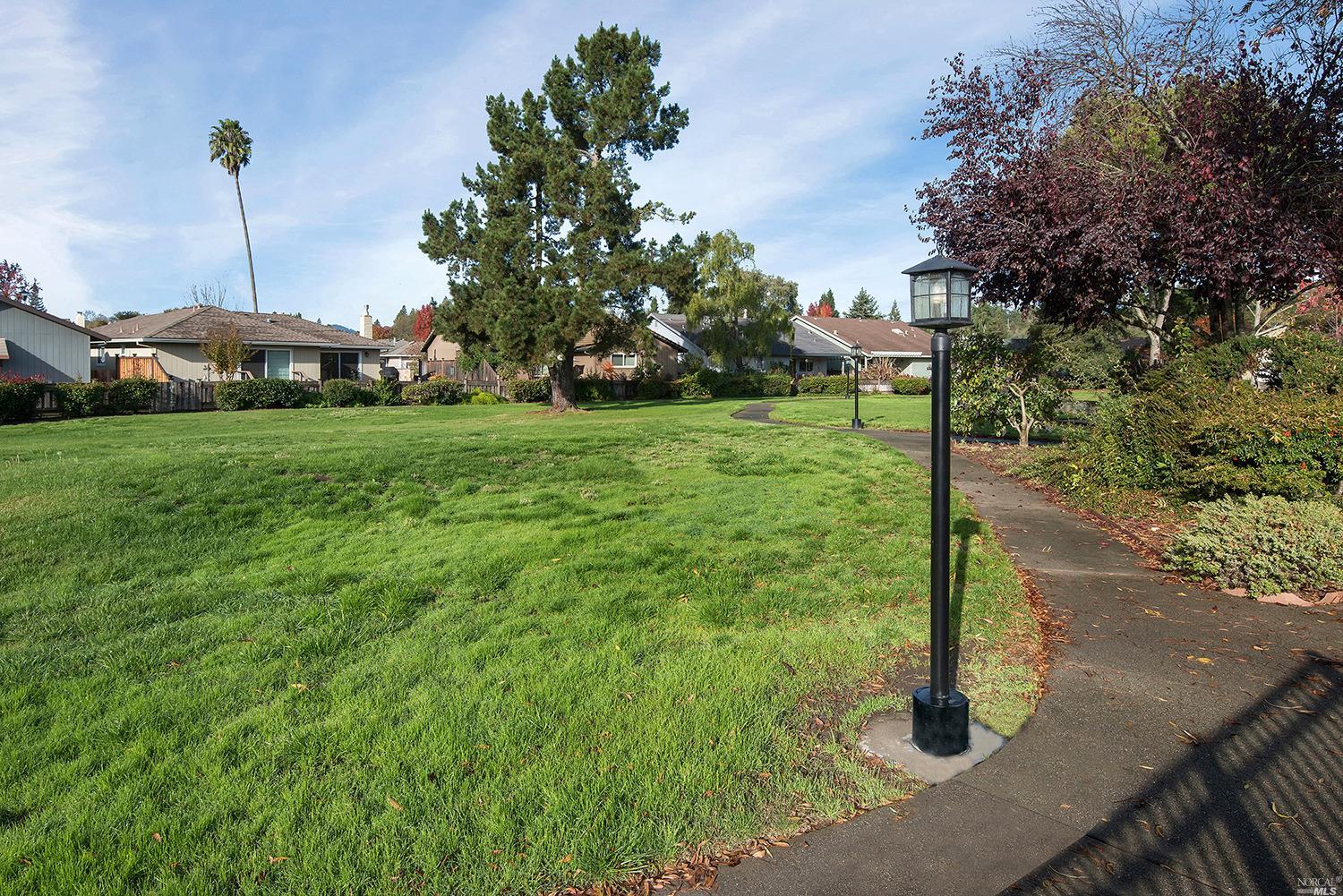 224 Prune Tree Dr, Healdsburg, CA 95448 photo 24