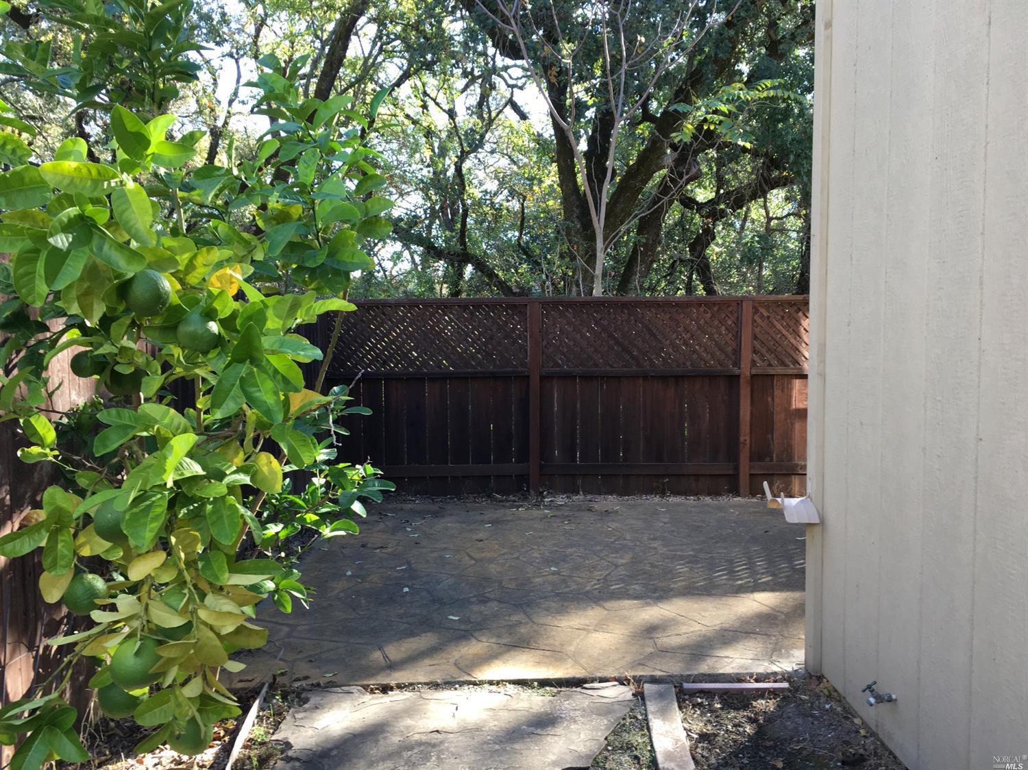 8922 Oakfield Ln, Windsor, CA 95492 photo 8