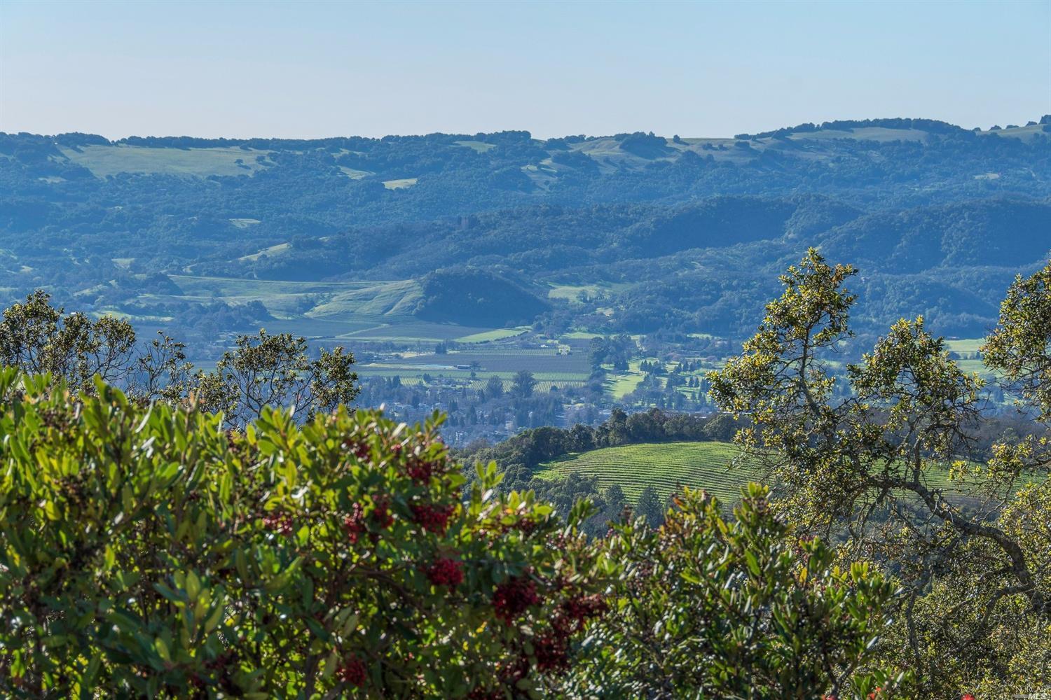 Undisclosed, Sonoma, CA 95476 photo 1