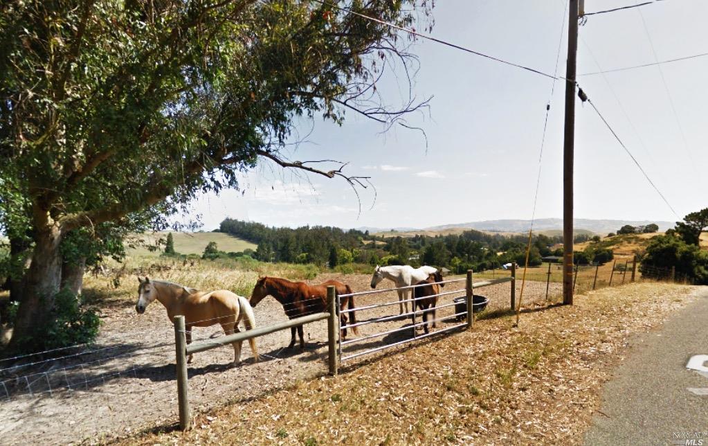200 Pepper Ln, Petaluma, CA 94952 photo 7