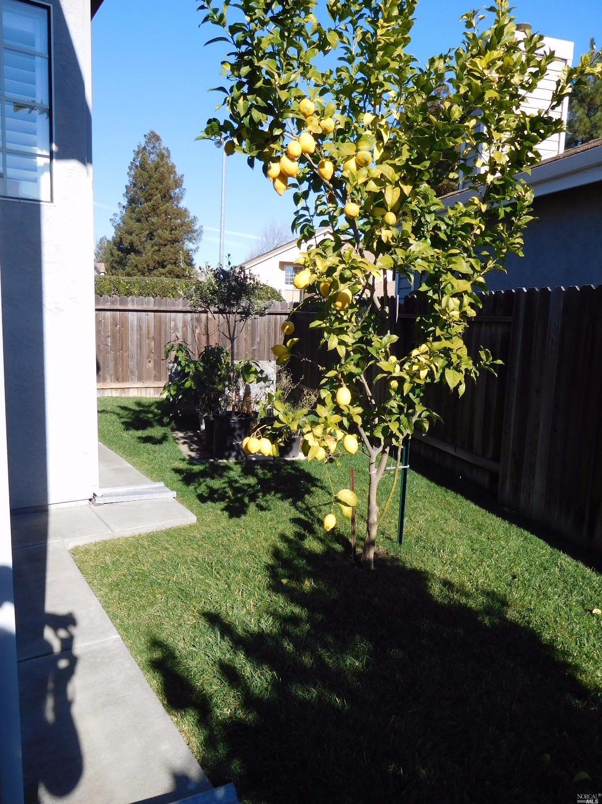Undisclosed, Fairfield, CA 94533 photo 25