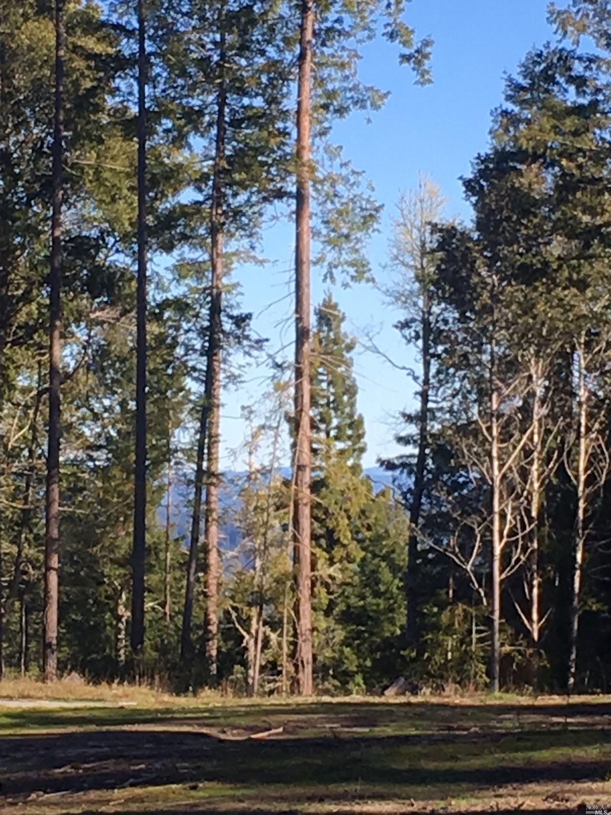 5001 Cameron Rd, Elk, CA 95432 photo 1