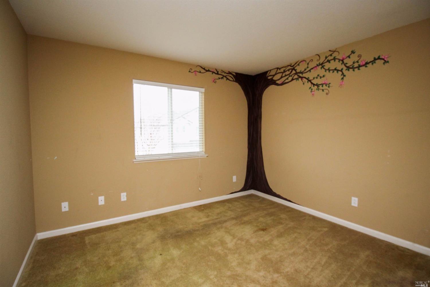 717 Greentree Cir, Fairfield, CA 94534 photo 22