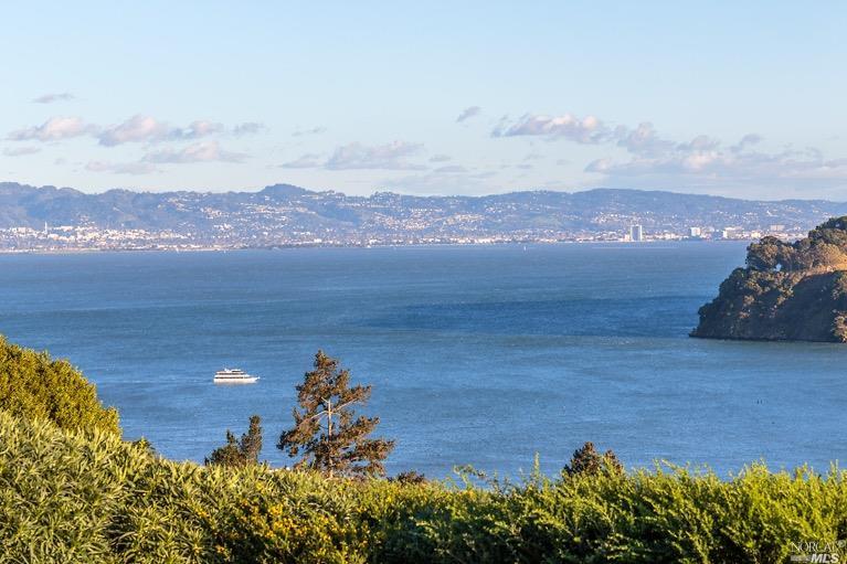 450 Ridge Rd, Tiburon, CA 94920 photo 18