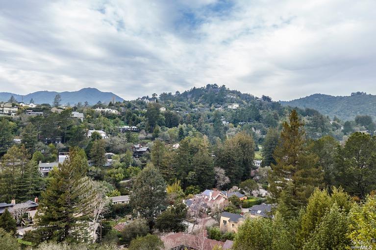 165 Marlin Ave, Mill Valley, CA 94941 photo 25