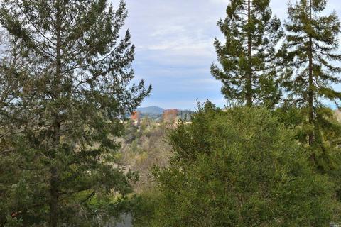 2374 Riverview Dr, Healdsburg, CA 95448 photo 4