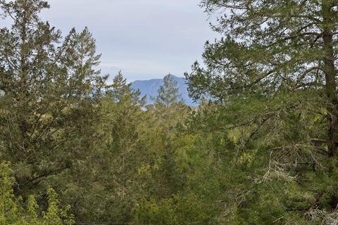 2374 Riverview Dr, Healdsburg, CA 95448 photo 5