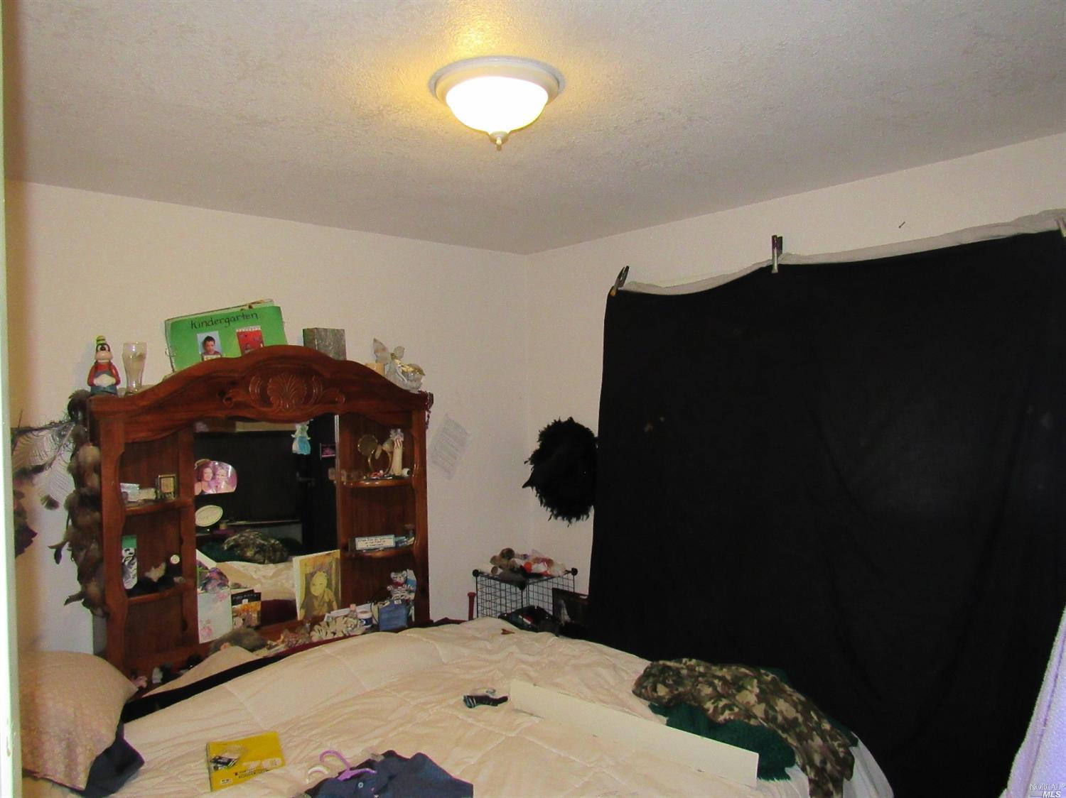 15979 32nd Ave, Clearlake, CA 95422 photo 4