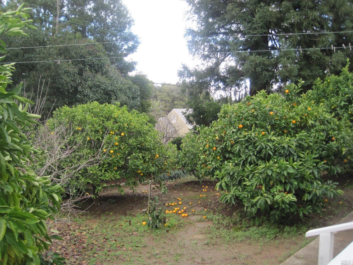 27 La Vuelta St, Vallejo, CA 94590 photo 26