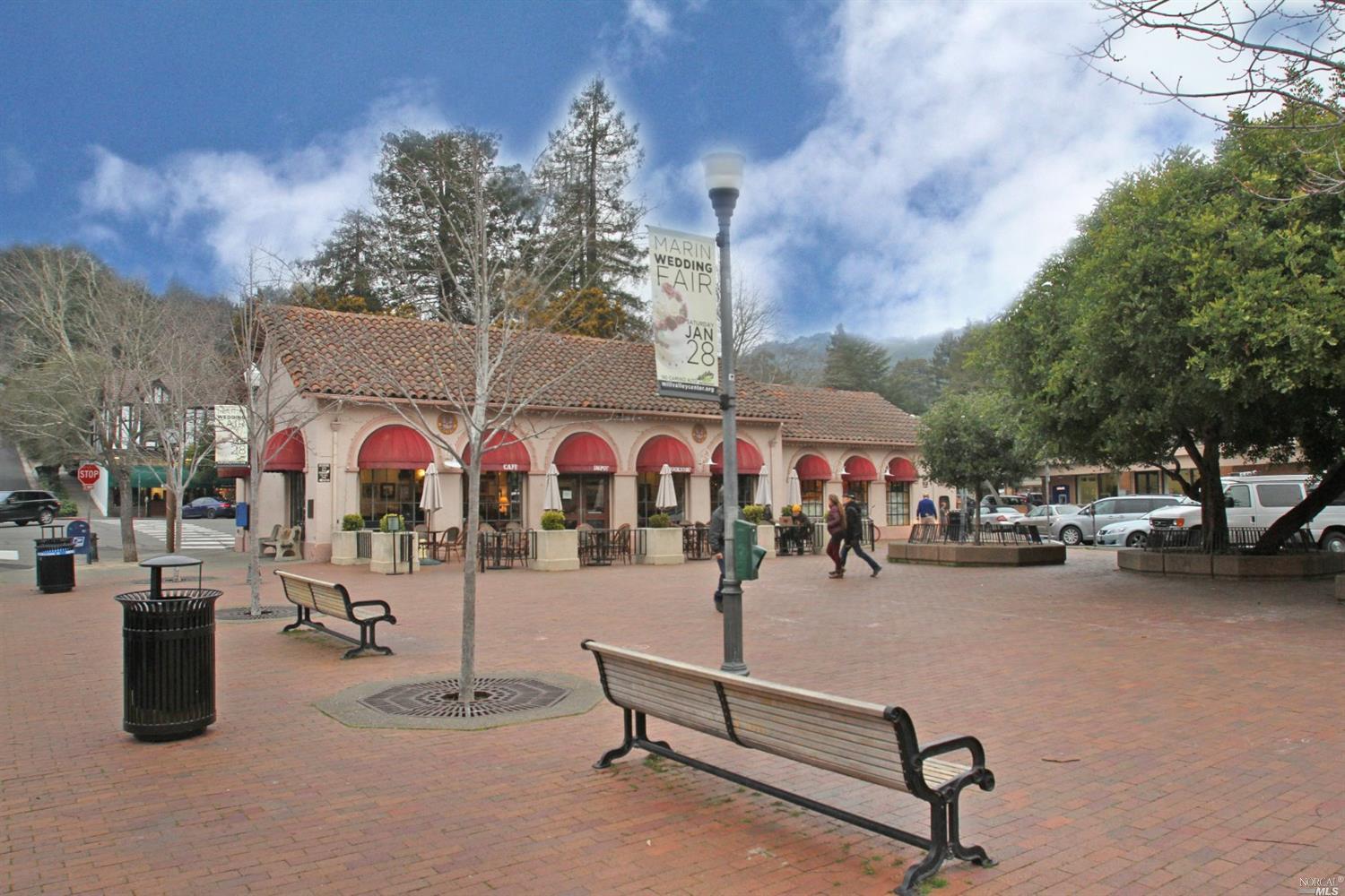 2 Upper Alcatraz Pl, Mill Valley, CA 94941 photo 23