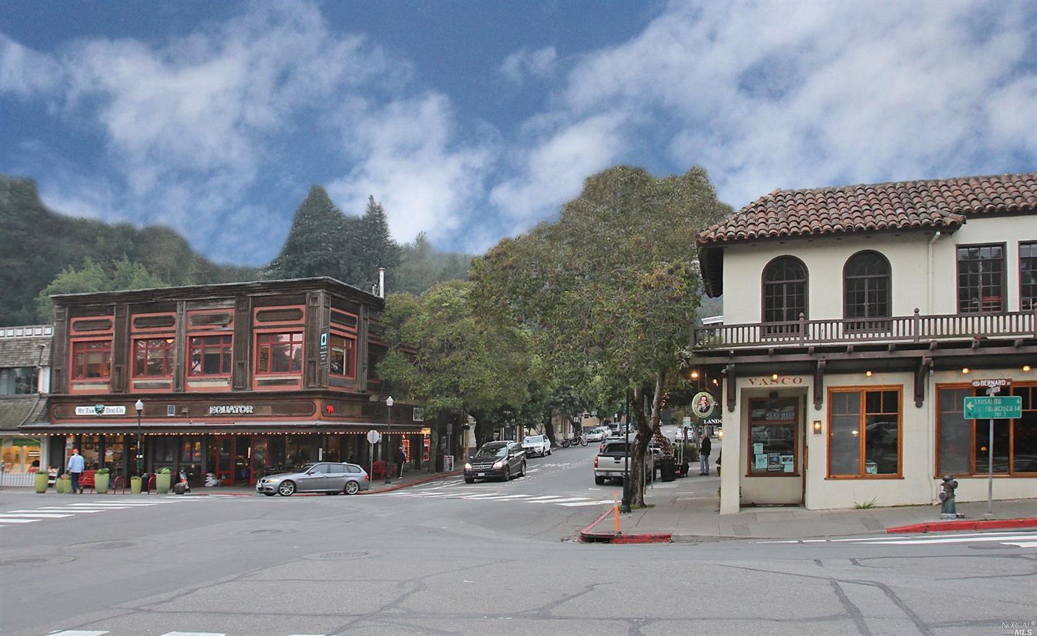 2 Upper Alcatraz Pl, Mill Valley, CA 94941 photo 22