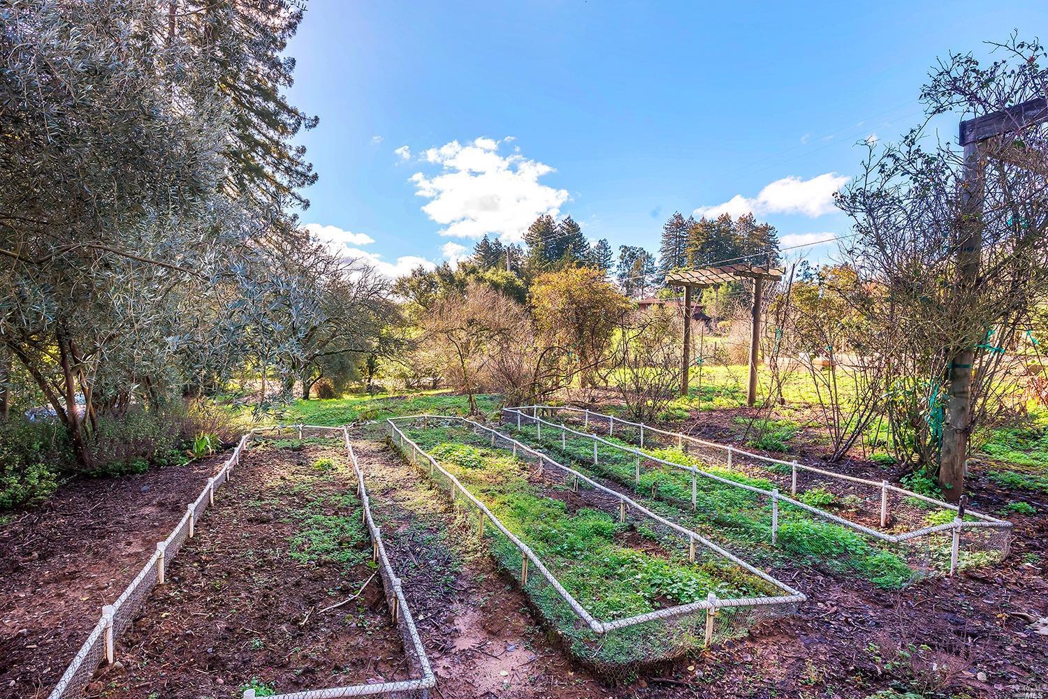 Undisclosed, Sebastopol, CA 95472 photo 14