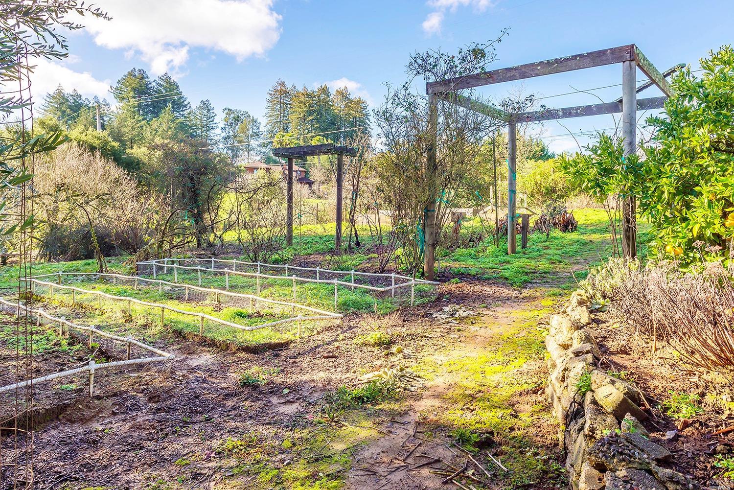 Undisclosed, Sebastopol, CA 95472 photo 10