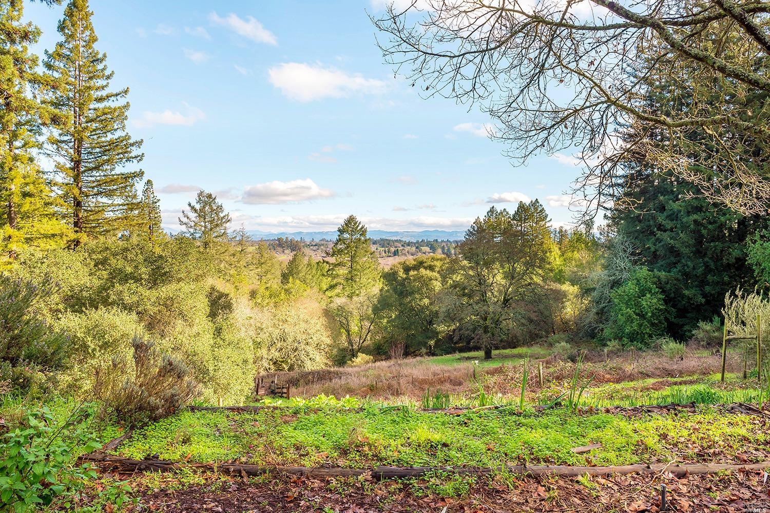 Undisclosed, Sebastopol, CA 95472 photo 9
