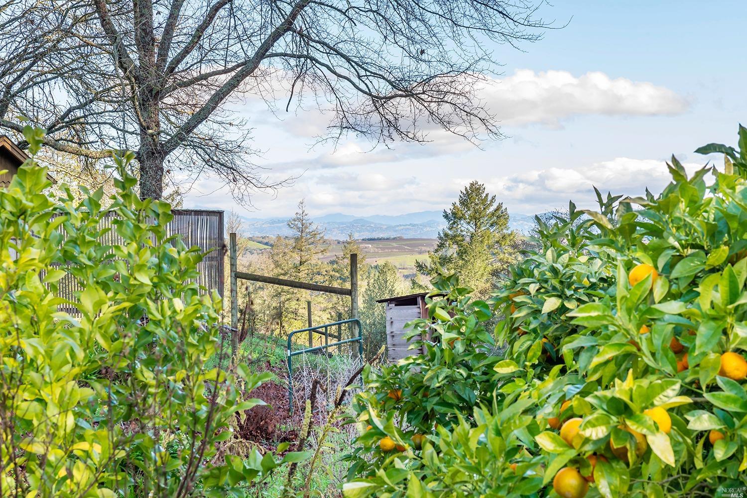 Undisclosed, Sebastopol, CA 95472 photo 4