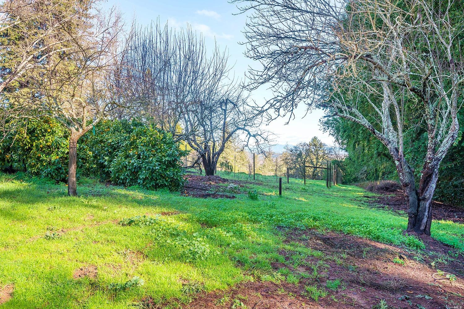 Undisclosed, Sebastopol, CA 95472 photo 7
