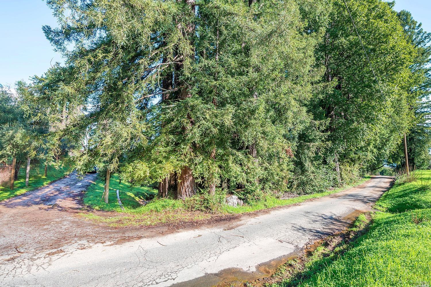Undisclosed, Sebastopol, CA 95472 photo 12