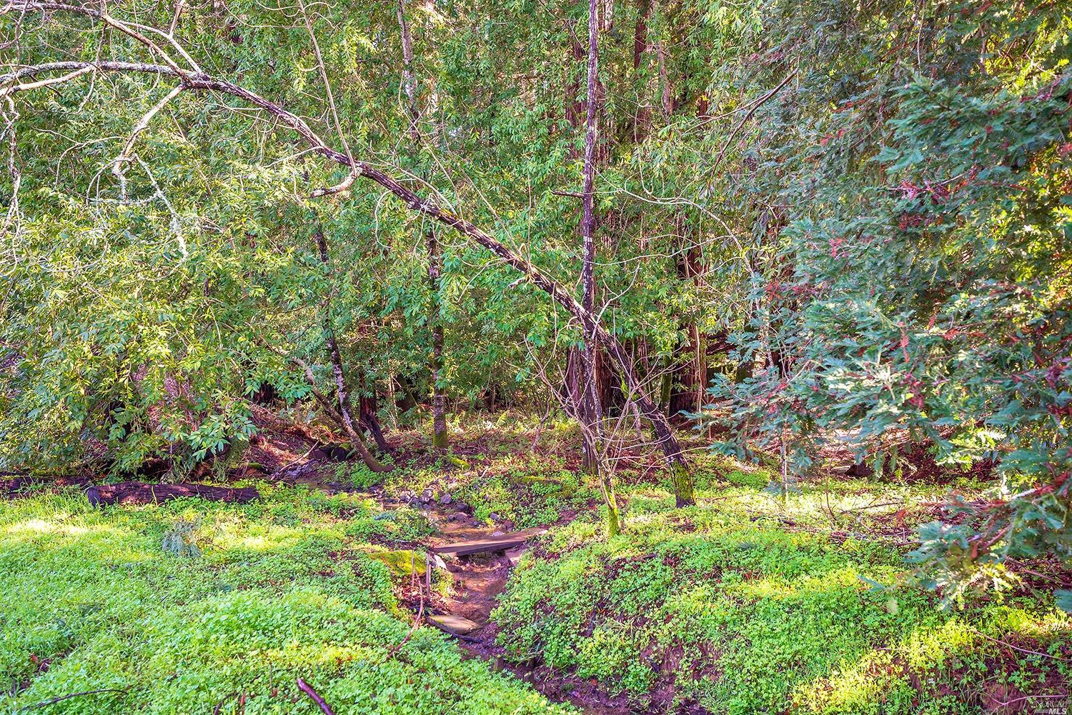 Undisclosed, Sebastopol, CA 95472 photo 5