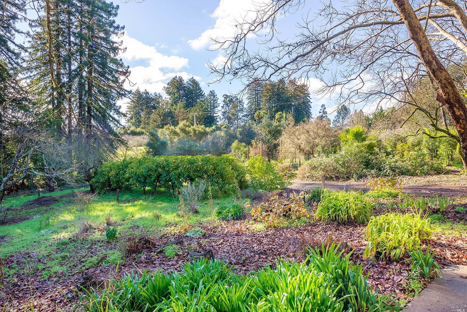 Undisclosed, Sebastopol, CA 95472 photo 11