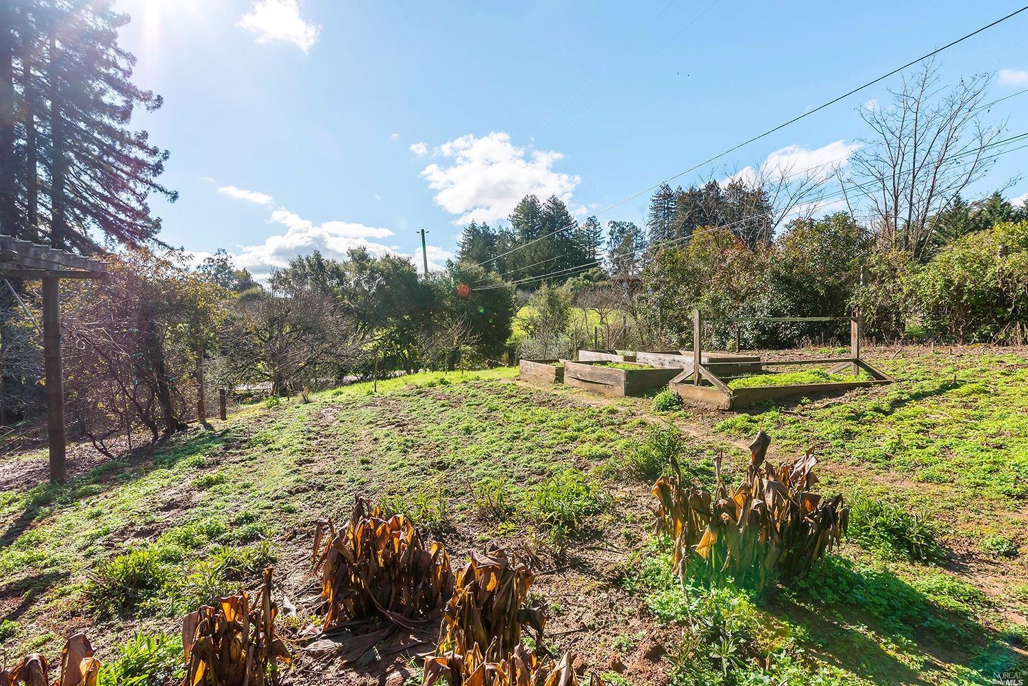 Undisclosed, Sebastopol, CA 95472 photo 15