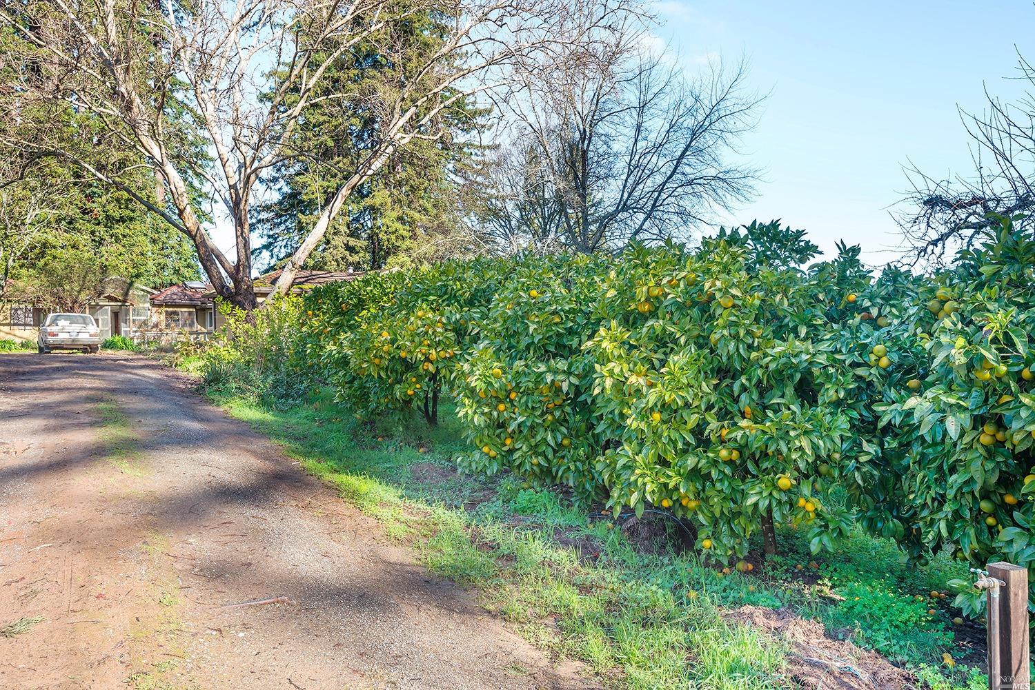 Undisclosed, Sebastopol, CA 95472 photo 13