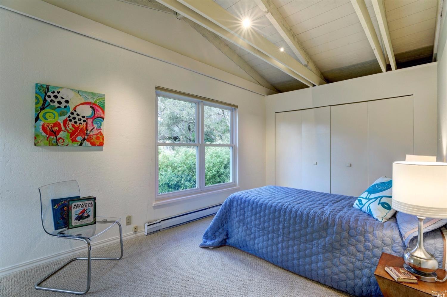 242 Manor Dr, Mill Valley, CA 94941 photo 13