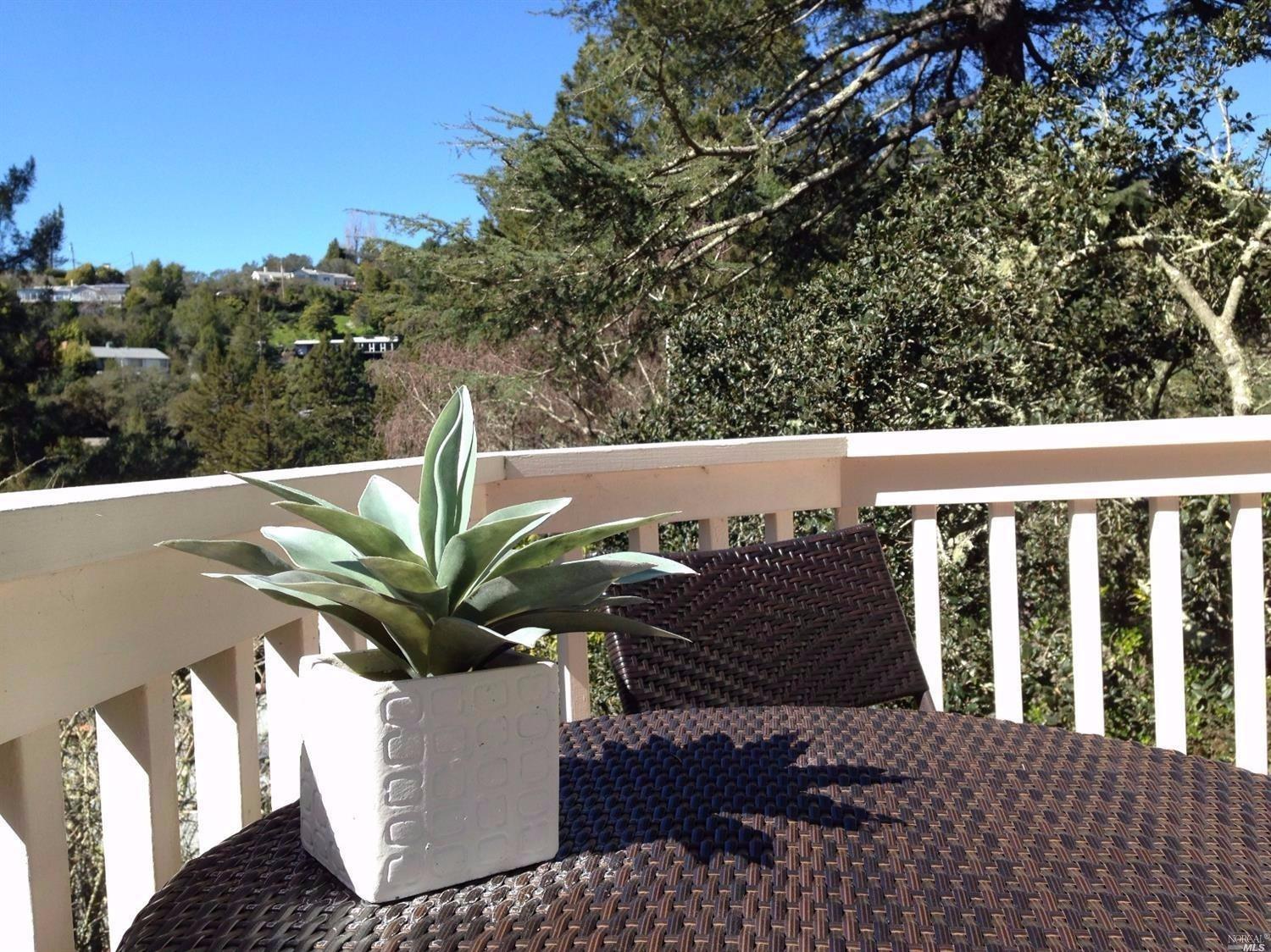242 Manor Dr, Mill Valley, CA 94941 photo 10