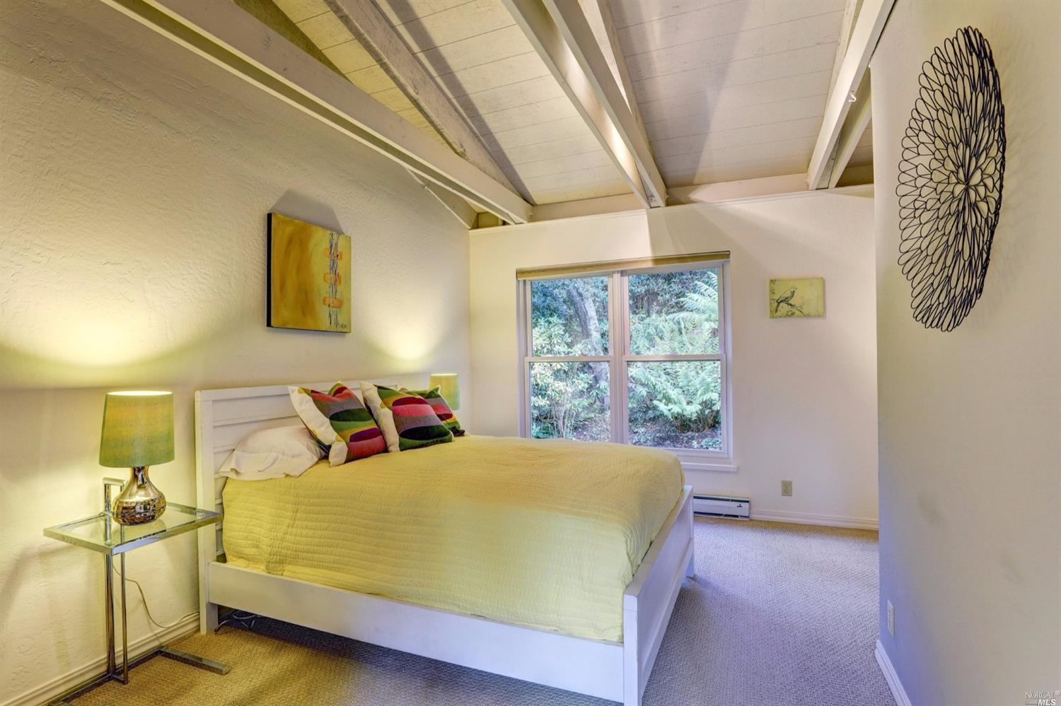 242 Manor Dr, Mill Valley, CA 94941 photo 16