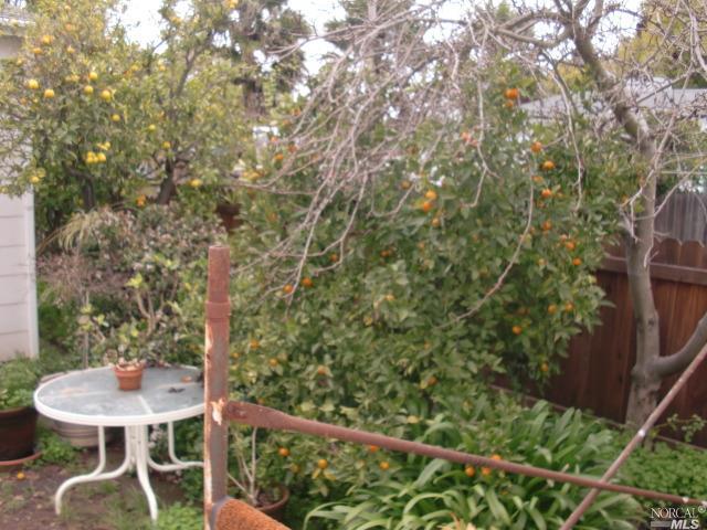 499 Wallace Ave, Vallejo, CA 94590 photo 23
