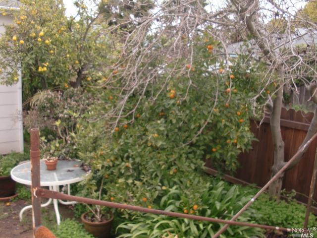 499 Wallace Ave, Vallejo, CA 94590 photo 24