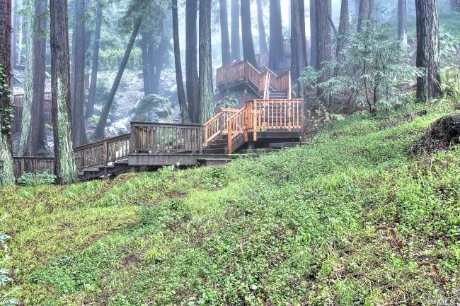 560 Edgewood Ave, Mill Valley, CA 94941 photo 19