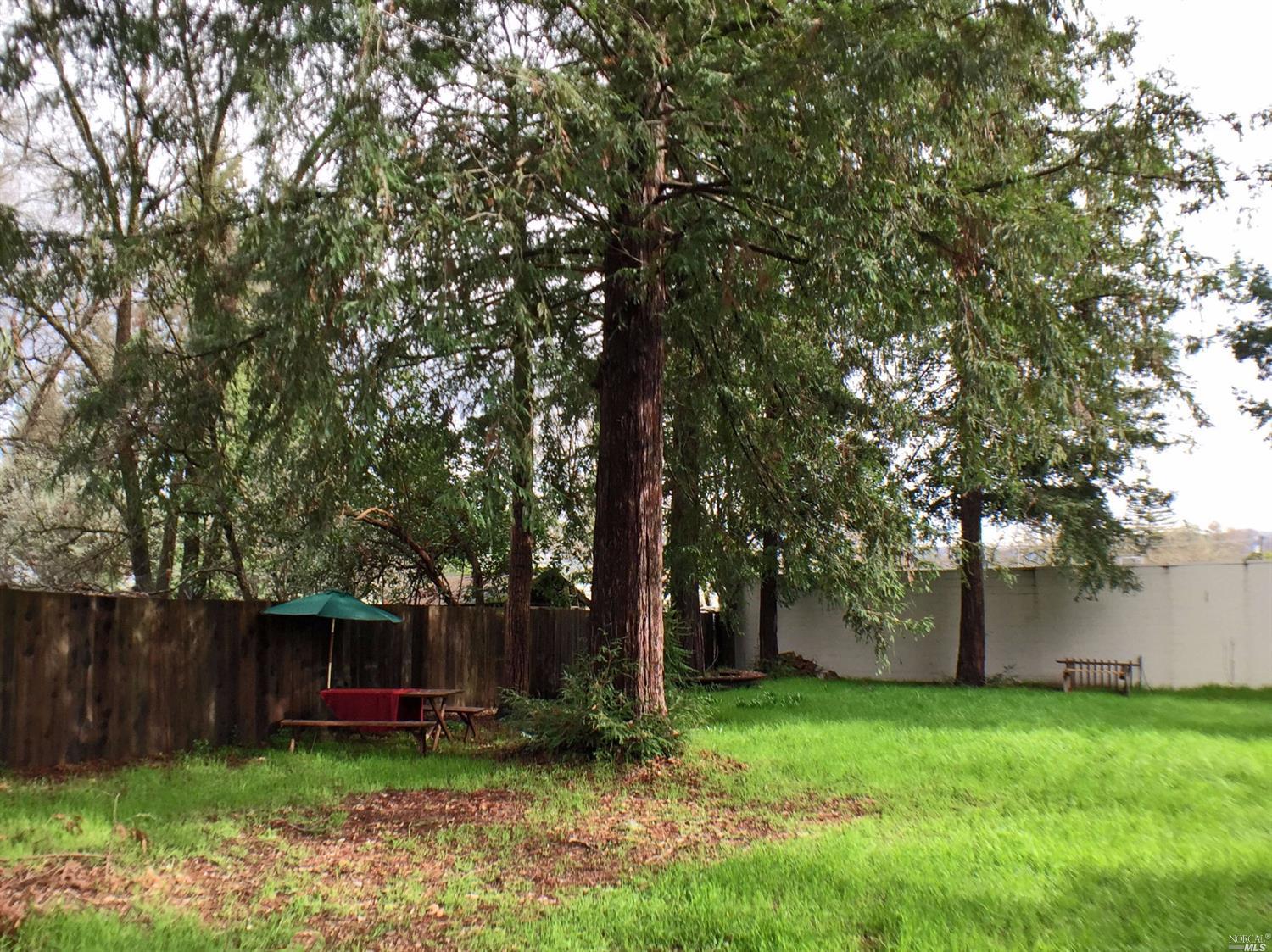 535 S Spring St, Ukiah, CA 95482 photo 41
