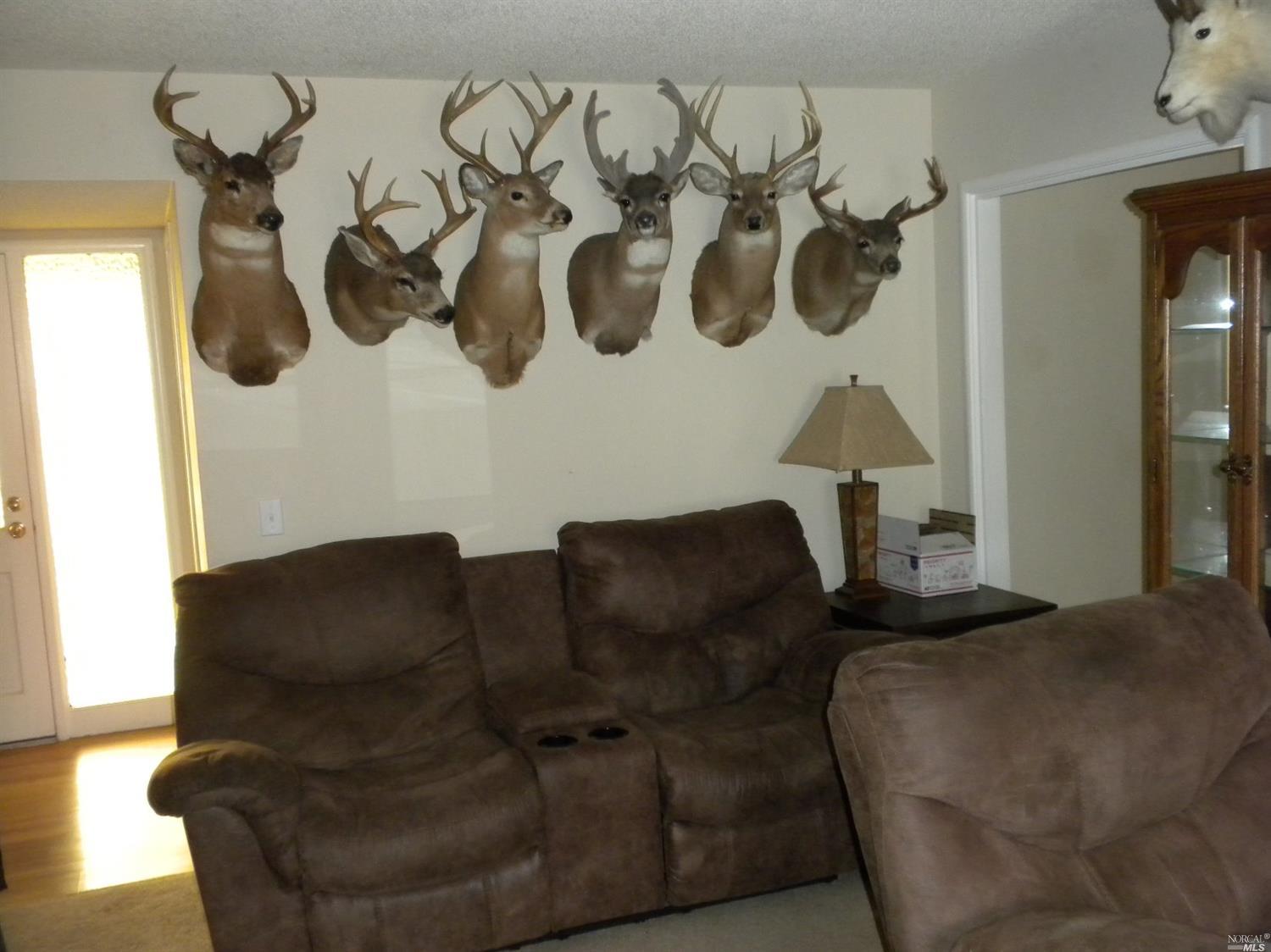 601 Fleming Ave E, Vallejo, CA 94591 photo 7