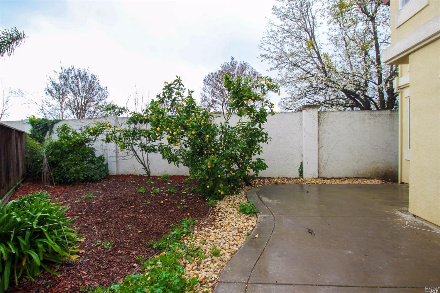 705 Salmon Pl, Fairfield, CA 94533 photo 46